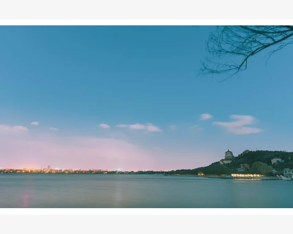桑叶浙贝母枇杷叶清肺热，呵护呼吸系统健康
